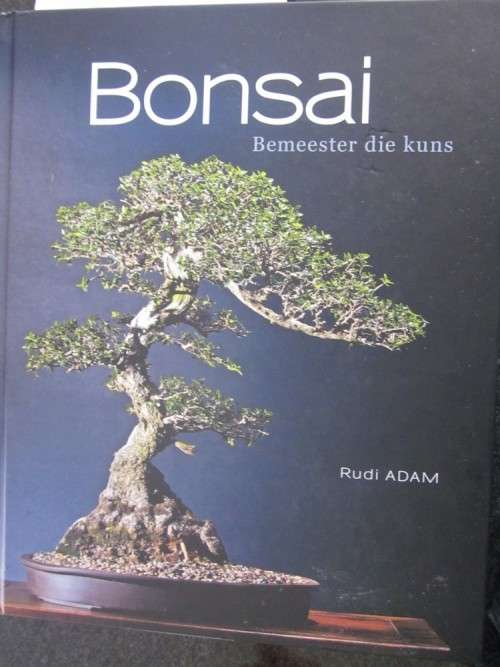 Bosai- Bemeester die Kuns- Rudi Adam