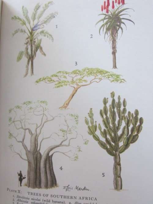Encyclopaedia of Southern Africa- Eric Rosenthal- Volume 1 and 2