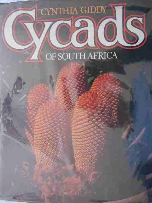 Cycads of South Africa- Cynthia Giddy