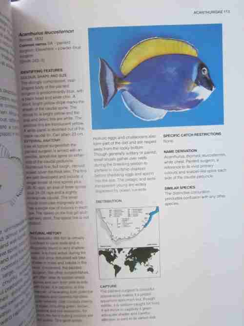 A Guide to the Common Sea Fishes of Southern Africa- Rudy van der Elst