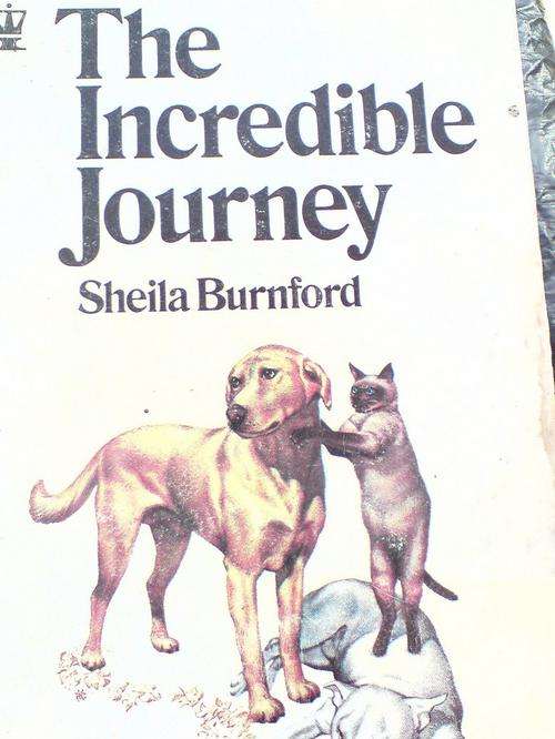 The Incredible Journey - Sheila Burnford