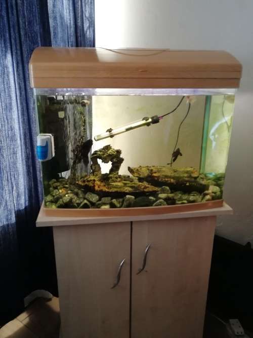 Fish tank with all accessories, including cabinet and living fish