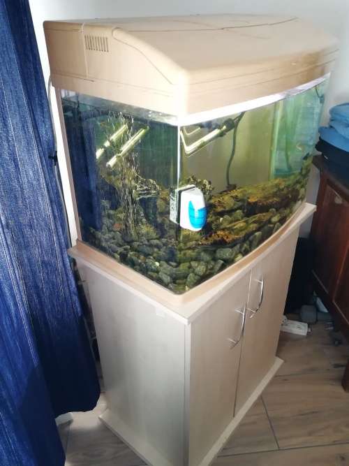 Fish tank with all accessories, including cabinet and living fish