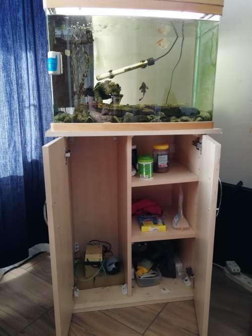 Fish tank with all accessories, including cabinet and living fish
