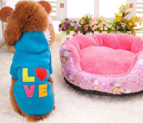 Cute Dog Tracksuit - Only Green Left