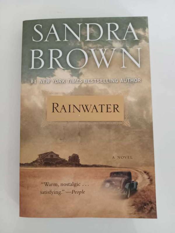 Sandra Brown - Rainwater