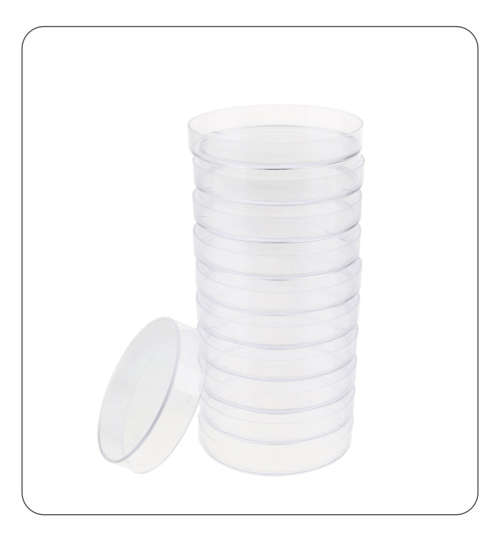Petri Dishes 65mm Plastic (10 pack) for mushroom cultivation