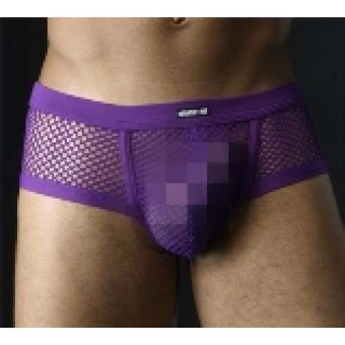 Sexy Voilet Mesh undie