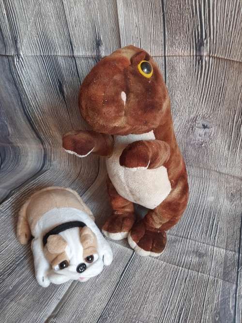 Teddy Combo