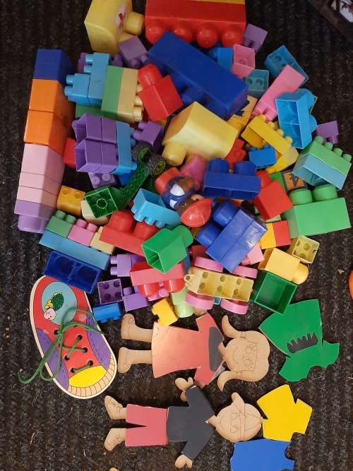 Educational Toys and Building Blocks
