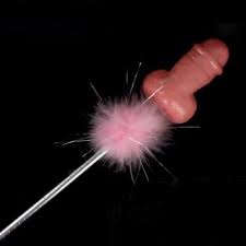 Willy Wand