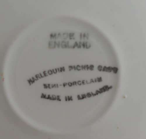 Vintage picnic set in original case
