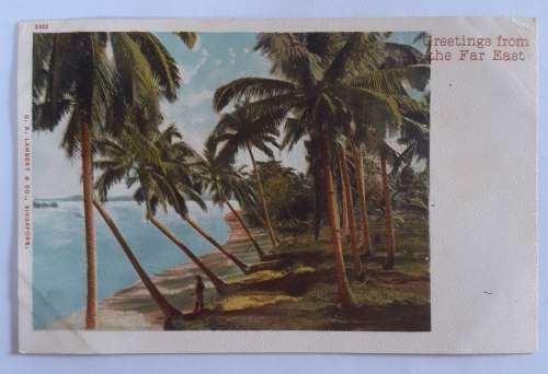 Straits settlements, SINGAPORE, Greetings from the Far East (1899) Postcard - MINT
