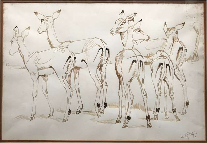 Zakkie Eloff - Ink on Paper