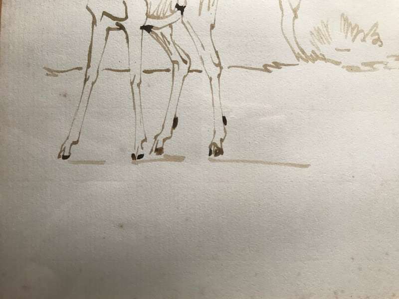 Zakkie Eloff - Ink on Paper