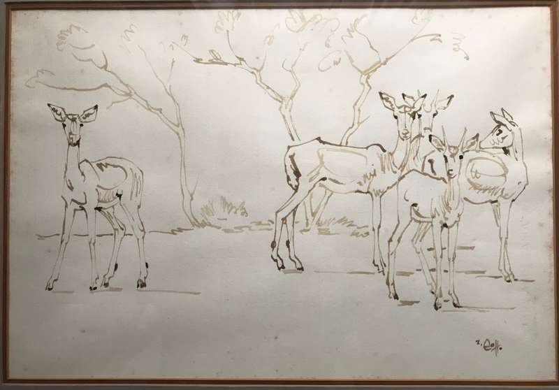 Zakkie Eloff - Ink on Paper