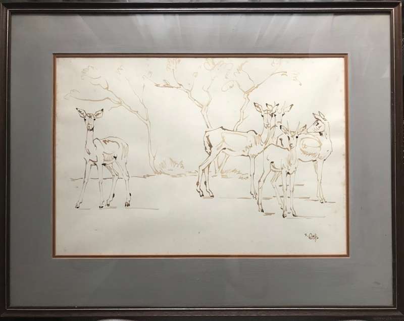 Zakkie Eloff - Ink on Paper