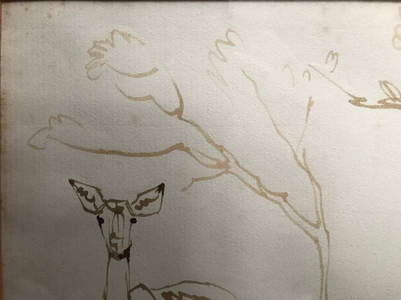 Zakkie Eloff - Ink on Paper