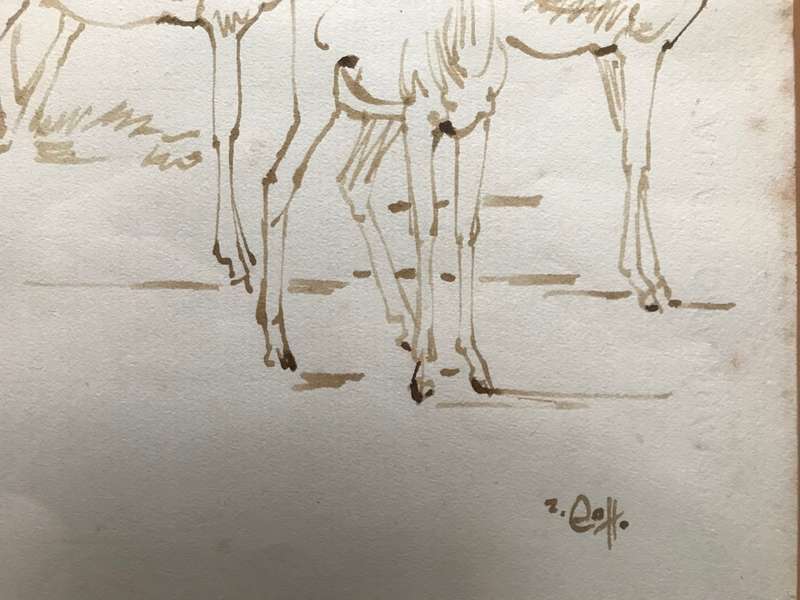 Zakkie Eloff - Ink on Paper