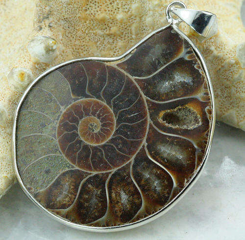 BEAUTIFUL AMMONITE FOSSIL PENDANT WITH CHAIN