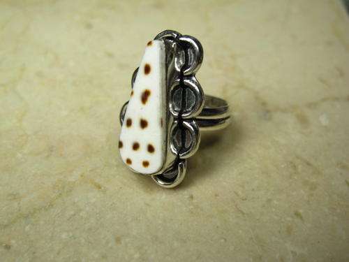 UNUSUAL TIGER SHELL RING STERLING SILVER PLATED