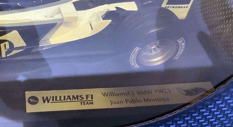 **RARE/BOXED** 1/18 Hot Wheels WilliamsF1 Set of 2 - BMW FW25 Ralf Schumacher & Juan Pablo Montoya