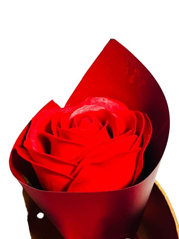 Women Gift Box