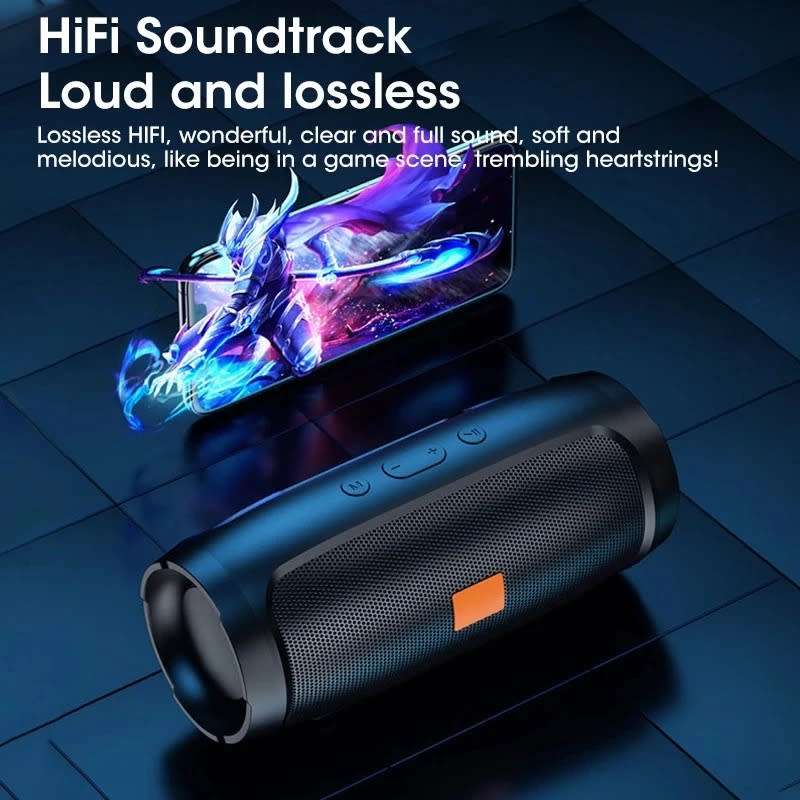 PORTABLE WIRELESS SPEAKEr
