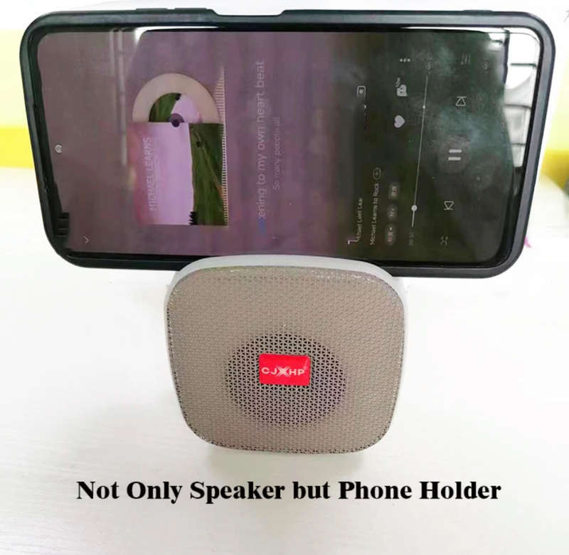 Wireless Portable Spearker