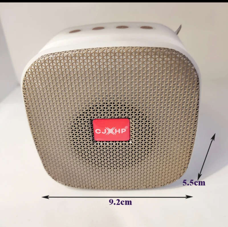 Wireless Portable Spearker