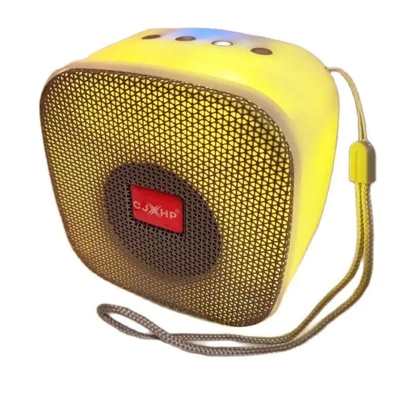Wireless Portable Spearker