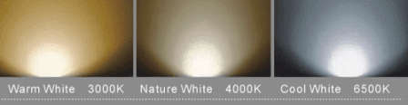 LED BEDSIDE LAMP RESTAIRANT HOTEL TABLE LAMP DINNING TABLE LAMP WITH BUILT IN LED