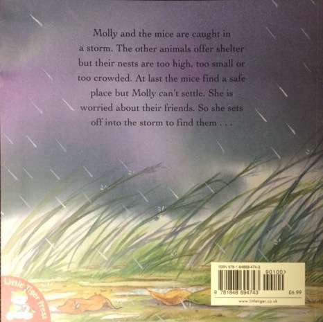 MOLLY AND THE STORM - CHRISTINE LEESON/GABY HANSEN - BOOKS