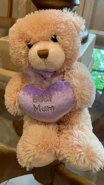 TEDDY - FLUFFY TOY - TOYS - KIDS - SOFT TOY