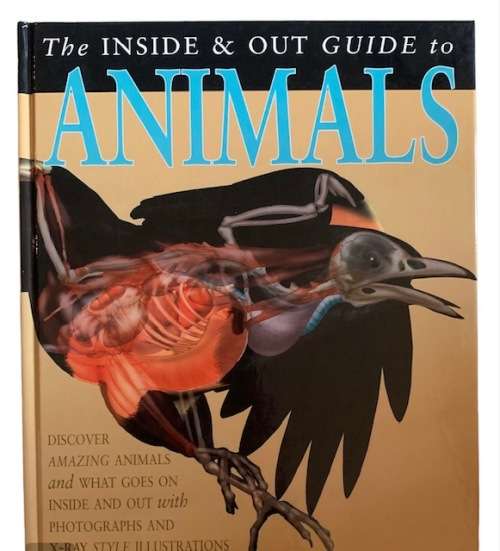 THE INSIDE & OUT GUIDE TO ANIMALS - BOOKS - ANIMALS