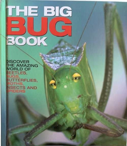 THE BIG BUG BOOK - HARDCOVER - BOOKS