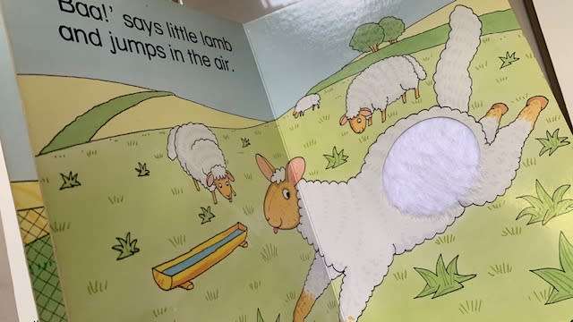 LOOK, TOUCH AND FEEL BOOKS - STROKE HENRY - FLUFFY CHICK - BUSTER - 3 BOOKS FOR ONLY R130.00