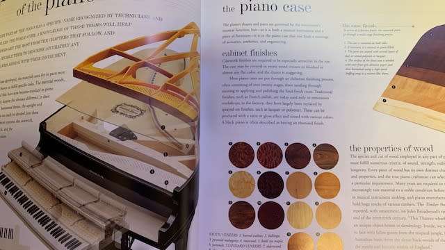THE PIANO - JOHN PAUL WILLIAMS - BOOKS