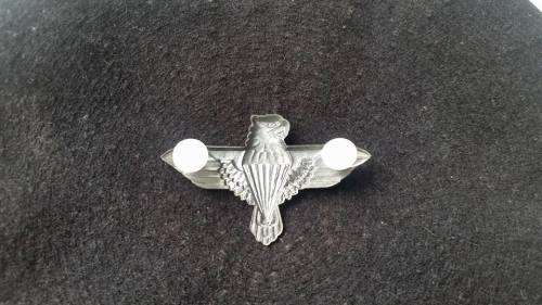 44Para Brigade Beret badge