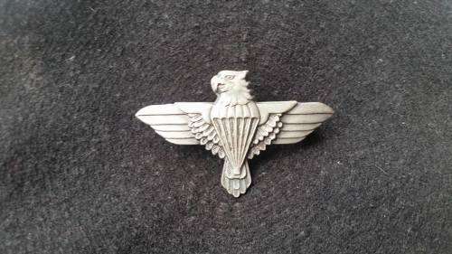44Para Brigade Beret badge