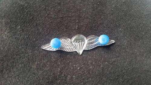 Para Static Wing
