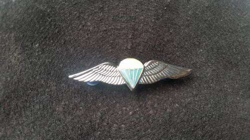 Para Static Wing