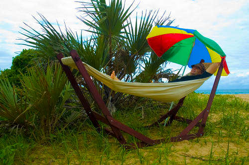 Wooden Hammock Stand and Hammock - Portable