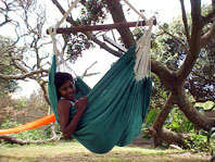 Sitting/Swing Hammocks