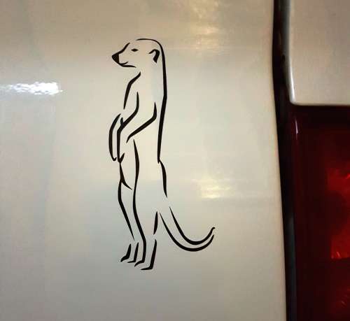 Meerkat