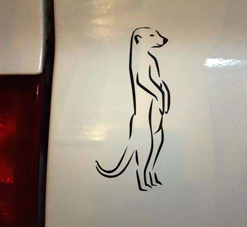 Meerkat