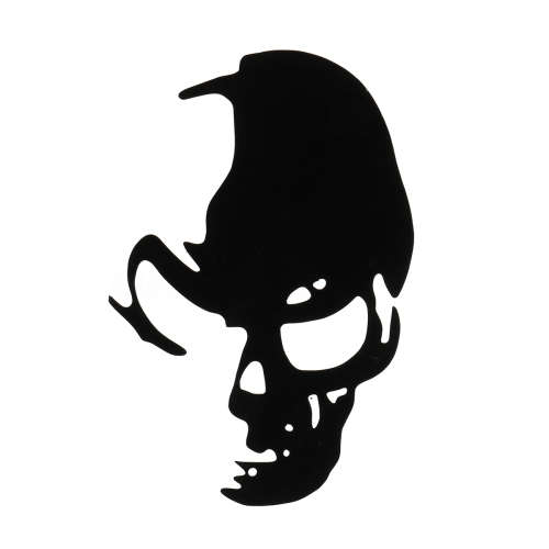 Skull
