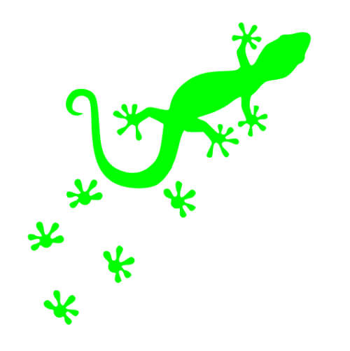 Gecko with footprints vinyl sticker - Green