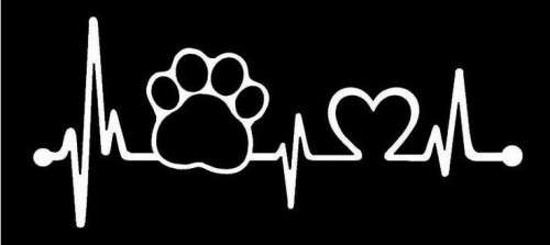 Animal love Vinyl Sticker (heartbeat paw)
