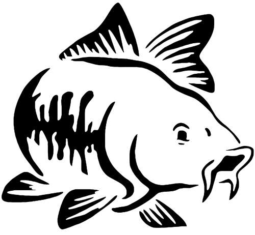 Carp Fish Vinyl Sticker 125mm x138mm